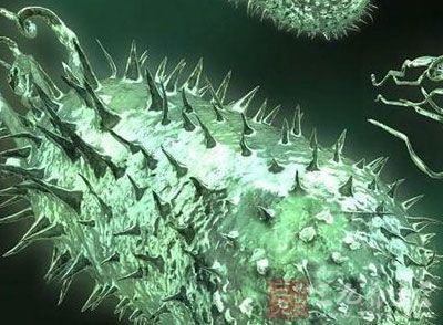 华体会体育hth官方网站