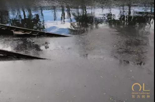 华体会体育hth官方网站