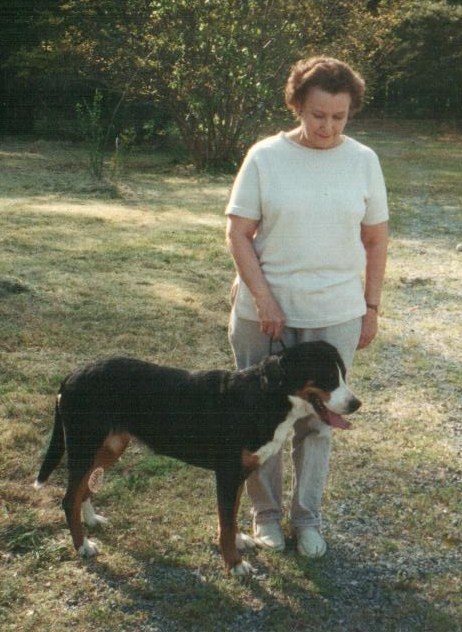 华体会体育hth官方网站