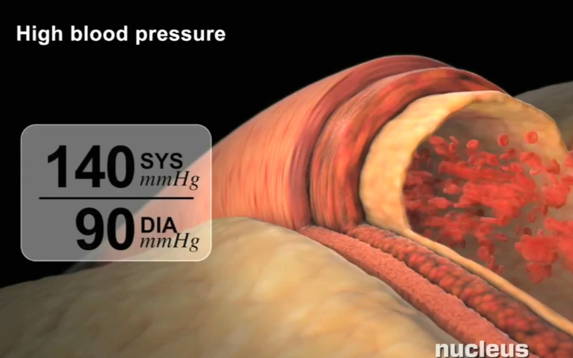 华体会体育hth官方网站