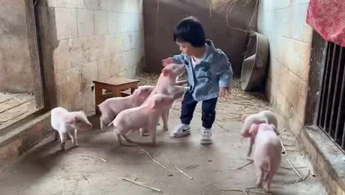 华体会体育hth官方网站