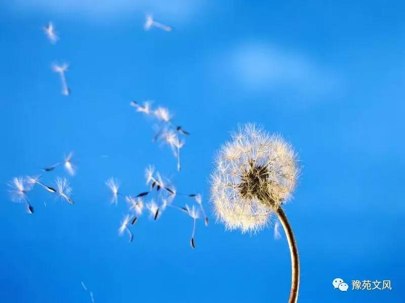 华体会体育hth官方网站