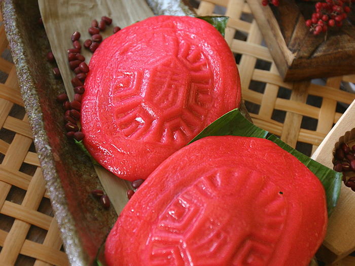 华体会体育hth官方网站