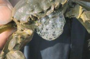 华体会体育hth官方网站