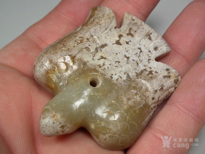 华体会体育hth官方网站