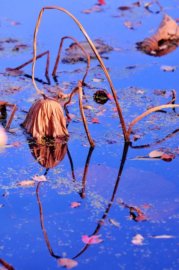 华体会体育hth官方网站