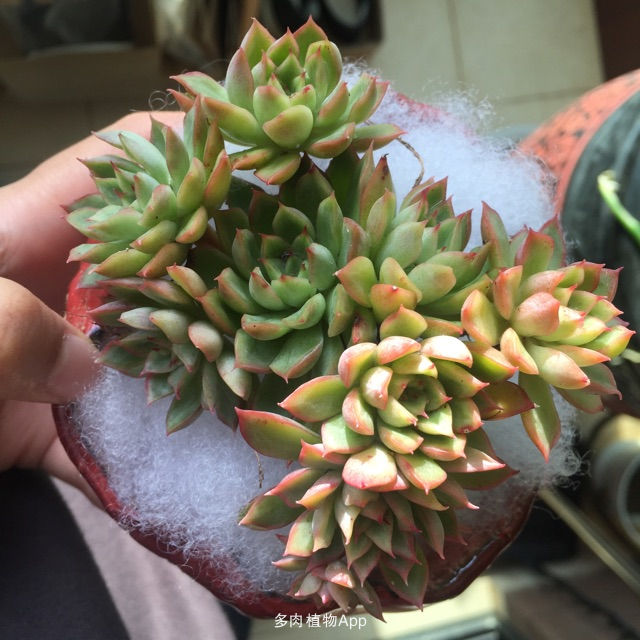 华体会体育hth官方网站