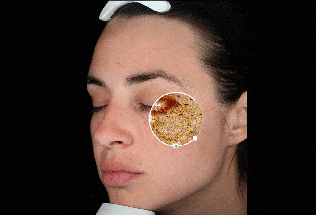 华体会体育hth官方网站