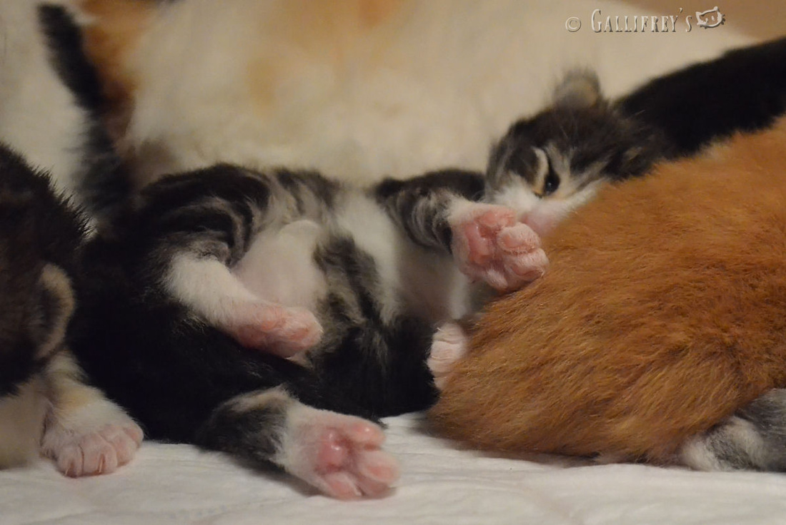 华体会体育hth官方网站