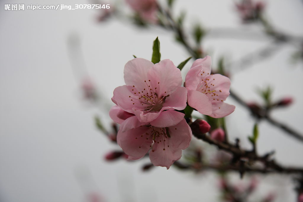 华体会体育hth官方网站