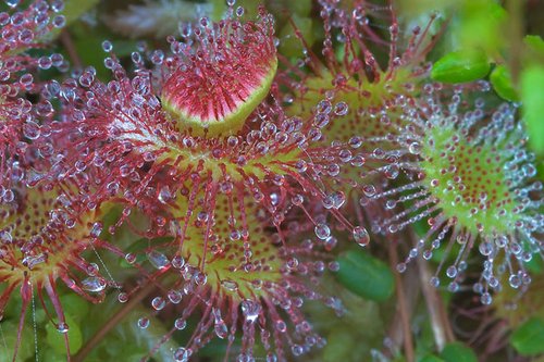 华体会体育hth官方网站