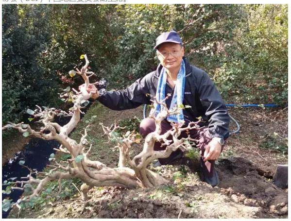 华体会体育hth官方网站