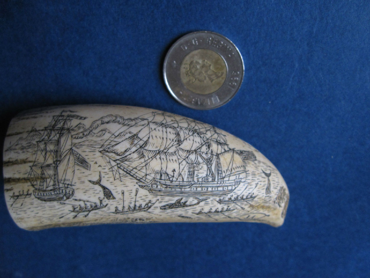 耐克全新限量鞋 贵到令人恐惧:hth官网入口(图1) hth官网入口