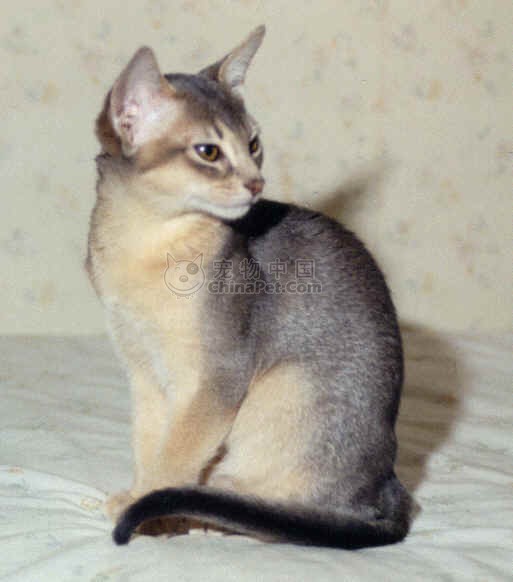 华体会体育hth官方网站