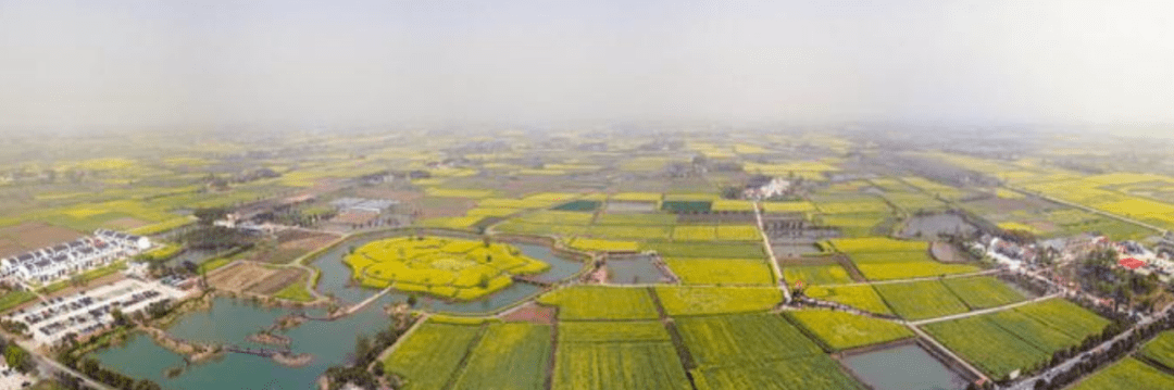 
喜报！金牌洋马！实至名归！荣获2019中国田协金牌赛事：华体会体育hth官方网站(图4)