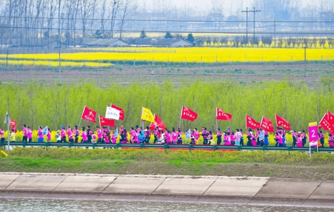 
喜报！金牌洋马！实至名归！荣获2019中国田协金牌赛事：华体会体育hth官方网站(图8)