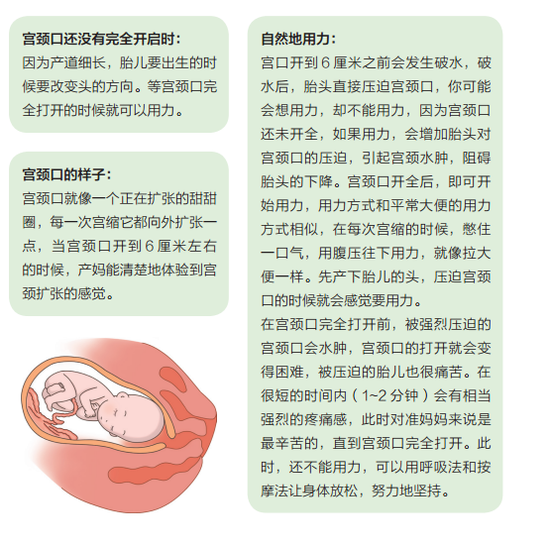华体会体育hth官方网站_球形LED显示屏的制作方法(图2) hth官网入口