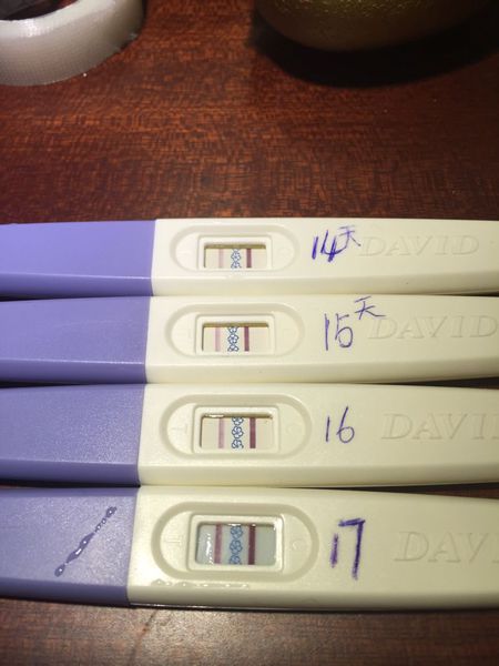 马球运动:中国古代唐朝时期的热门运动_华体会体育hth官方网站(图3) 华体会体育hth官方网站