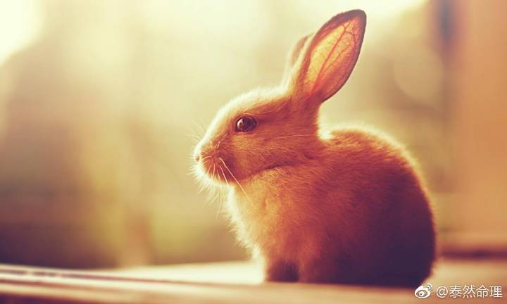 北面羽绒服搭配什么裤子悦目:华体会体育hth官方网站(图9) hth官网入口