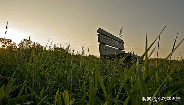 广州童鞋品牌 广州童鞋厂家 广州有哪些童鞋品牌 你最喜欢的品牌_华体会体育hth官方网站(图1) hth官网入口