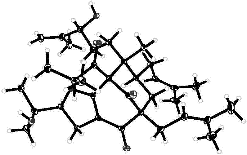 2018开学第一课观后感范文_hth官网入口(图1) 华体会体育hth官方网站