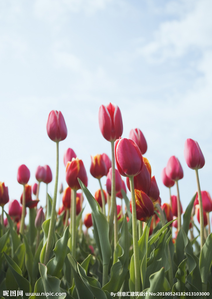 华体会体育hth官方网站-国办发布《关于进一步调整优化结构提高教育经费使用效益的意见》(图4) hth官网入口