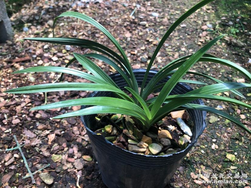 华体会体育hth官方网站:《极速青春》路杰成为正式的赛车手,还英雄救美唐棠?(图1) 华体会体育hth官方网站